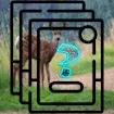 Deer Memory Match