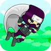 Flying Ninja