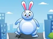 Giant Rabbit Run