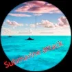 Hunting - Submarine Attack