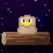 Infinite Bird
