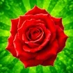 The Flowers Merge and Sell Bouquets