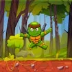 Turtle Ninja